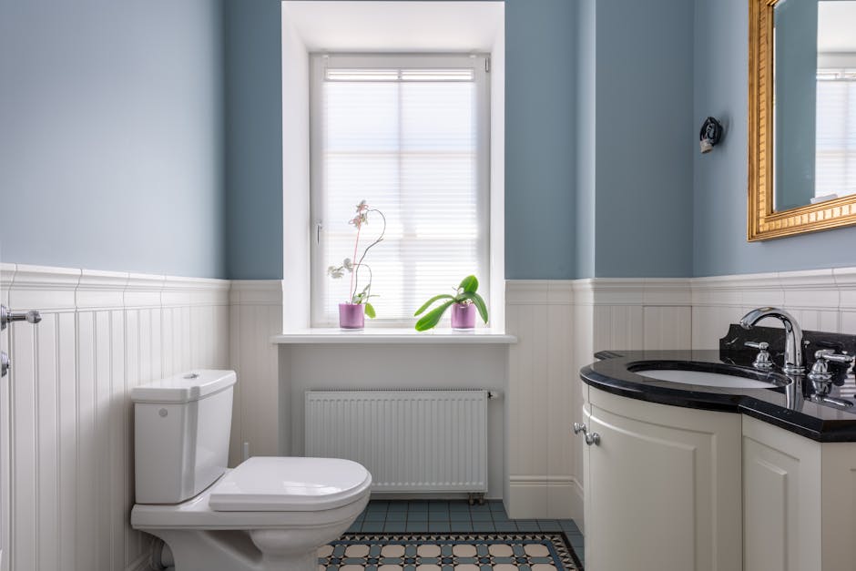 Toilet Repair & Installation in Carlsbad, NM - The Carlsbad Plumber